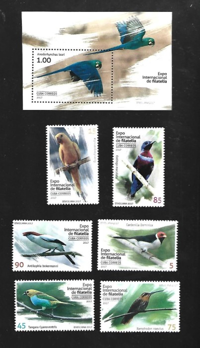 cuba pasari mnh