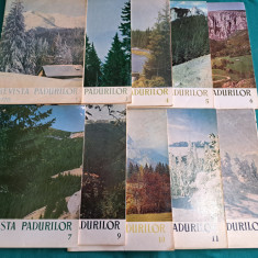 LOT 10 REVISTA PĂDURILOR / NR.1,3,4,5,6,7,9,10,11,12 *1970*