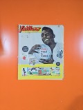 Vaillant aprilie an 19