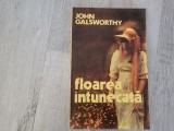 Floarea intunecata de John Galsworthy