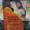 Western European Painting in the Hermitage 19th-20th centuries, Aurora 1987, 115