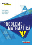 Probleme de matematică pentru clasa a XI-a - Paperback brosat - Lucian Dragomir, Adriana Dragomir, Ovidiu Bădescu - Paralela 45 educațional, Matematica