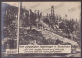 3285 - BUSTENARI, Prahova, Oil Wells, Romania - old postcard - unused 17/12 cm, Necirculata, Printata