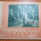 revista program filme noi 1954