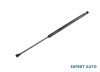 Amortizor capota fata Lexus GS (2005-2011)[GRS19_, UZS19_, GWS19_,_S19_] #1