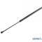 Amortizor capota fata Lexus GS (2005-2011)[GRS19_, UZS19_, GWS19_,_S19_] #1