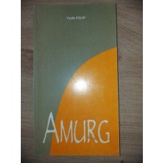 Amurg- Vasile Filip