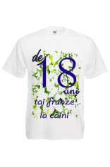 TRICOU PERSONALIZAT IMPRIMEU AMUZANT 18 ANI, tricou mesaj majorat foto