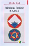 Principiul feminin &icirc;n Cabala - 2021 - Moshe Idel (@R99)