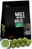 Haldorado - Boilies Max Motion Boilie Premium Soluble 24mm, 800g - Green Force