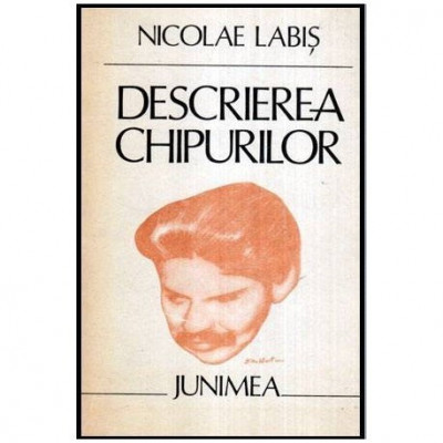 Nicolae Labis - Descrierea chipurilor - 113654 foto