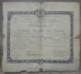 Diploma de inginer// Scoala Politechnica Bucuresti, 1929