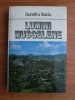 Dumitru Baciu - Lumini muscelene (1980, editie cartonata)