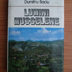 Dumitru Baciu - Lumini Muscelene (1980, editie cartonata)