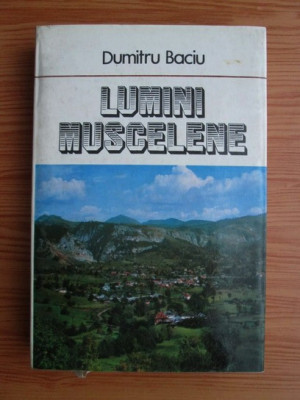 Dumitru Baciu - Lumini Muscelene (1980, editie cartonata) foto