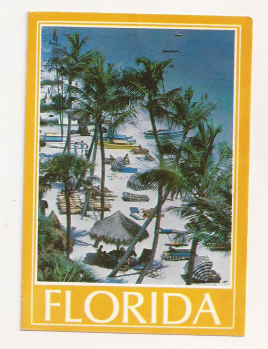 FA23-Carte Postala- SUA- Florida , circulata 1987