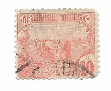 Tunisia - Teme locale, 1906, valoare obliterata foto