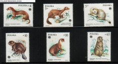 Polonia, fauna, animale cu blana, 1984, MNH foto