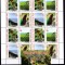 Tonga 2017 fauna pasari parc national kleib.+ bl. MNH