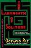 The Labyrinth of Solitude