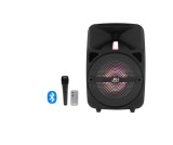 Boxa Bluetooth activa si portabila, JRH Q8 cu microfon inclus, 300 Watti