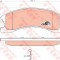 Set placute frana,frana disc JEEP GRAND CHEROKEE II (WJ, WG) (1998 - 2005) TRW GDB4133