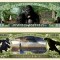 !!! SUA = FANTASY NOTE (TJ6) = FILMUL ,, KING KONG &quot; - 2004 - UNC