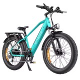EBike ENGWE E26 250W 26&#039;&#039;, baterie 48V 16AH, frana hidraulica cu disc, 140km, 7