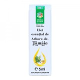 Ulei esential de arbore de tamaie, 5ml, Steaua Divina