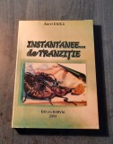 Instantanee de tranzitie Aurel Enica