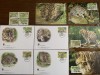 Vietnam - feline - serie 4 timbre MNH, 4 FDC, 4 maxime, fauna wwf