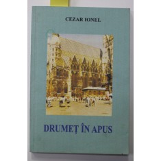 DRUMET IN APUS de CEZAR IONEL , 2000 , DEDICATIE *