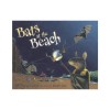 Bats at the Beach