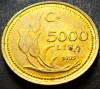 Moneda 5000 LIRE - TURCIA, anul 1995 * cod 5181 = luciu de batere - MODEL MIC, Europa