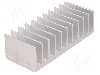 Radiator extrudat, aluminiu, 50mm x 124mm, STONECOLD -