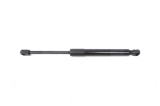Amortizor haion st&acirc;nga TESLA MODEL 3 2019 OEM: 1091560-00-B 15019368