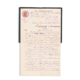 Adolf Rosen, Ordonanță de &icirc;ncetățenire, 1919