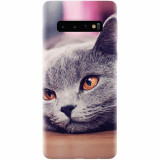 Husa silicon pentru Samsung Galaxy S10 Plus, British Shorthair Cat Yellow Eyes Portrait