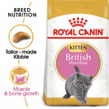 Royal Canin British Shorthair Kitten - 2 kg