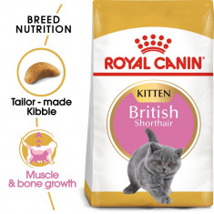 Royal Canin British Shorthair Kitten 400g