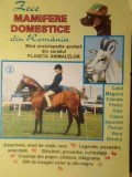 ZECE MAMIFERE DOMESTICE DIN ROMANIA 2. MICA ENCICLOPEDIE SCOLARA-BORIS CRACIUN-123667
