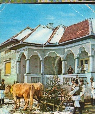 CPI B12904 CARTE POSTALA - FELICITARE &amp;quot;LA MULTI ANI&amp;quot;. CAR CU BOI foto