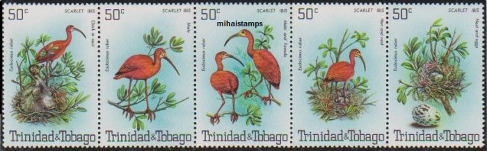 TRINIDAD TOBAGO - 1980 - PASARI - streif