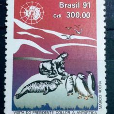 Brazilia 1991 fauna polara pinguini serie 1v mnh