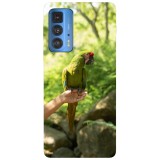 Husa compatibila cu Motorola G20 model Buffon macaw, Silicon, TPU, Viceversa