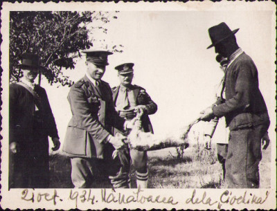 HST P626 Poză trofeu v&amp;acirc;nătoare iepure sălbatic 1934 Ciochina Ialomița foto