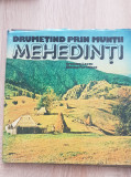Drumețind prin Munții Mehedinți - Cristian Lascu, Nicolae Terteleac