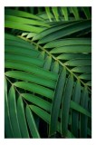 Tablou Canvas Frunze Tropicale Verzi Naturale Textură Vibrante, 26 x 39 cm, CMCLASS