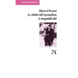 Az eltűnt idő nyom&aacute;ban VII. - A megtal&aacute;lt idő - Marcel Proust