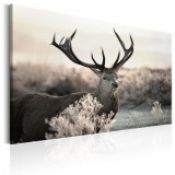 Cumpara ieftin Tablou - Powerful Horns 90x60 cm